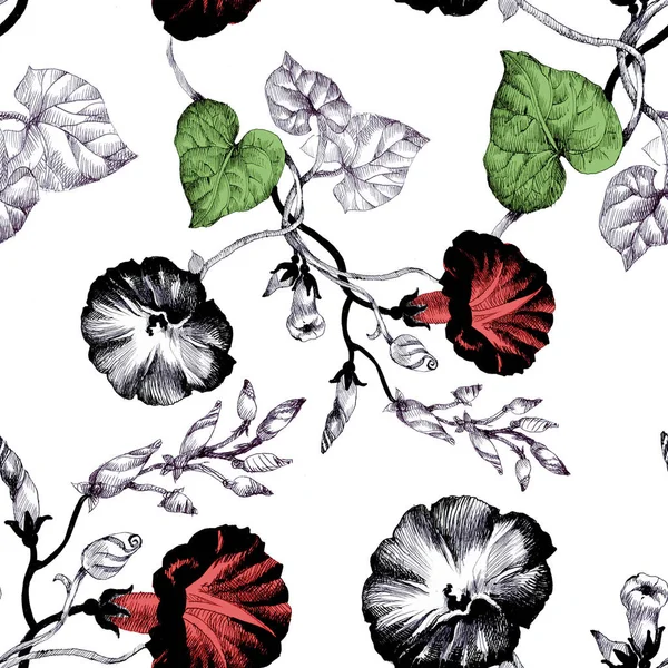 Petunia bloemen achtergrond — Stockfoto
