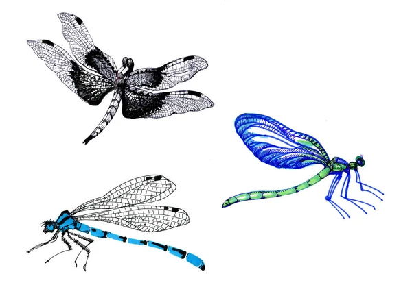Коллекция Акварелей Летающих Бабочек — стоковое фото