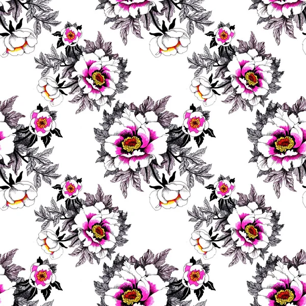 Acquerello bianco acqua-lilly fiori modello con rana su stagno vettoriale illustrazione — Foto Stock