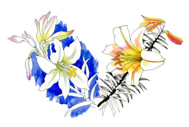 güzel lilyum çiçek desen beyaz zemin üzerine