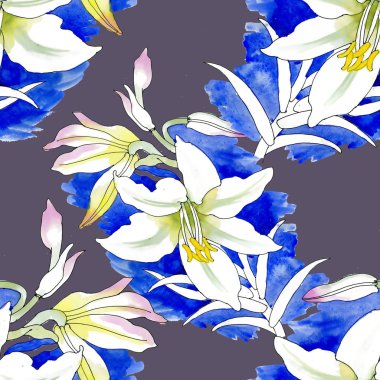 Sulu Boya güzel pembe lily illüstrasyon.