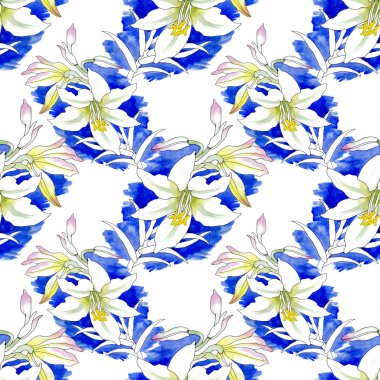 Sulu Boya güzel pembe lily illüstrasyon.