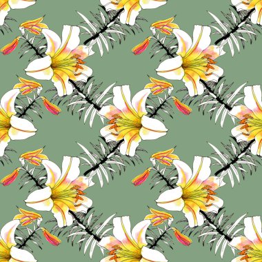 Sulu Boya güzel pembe lily illüstrasyon.