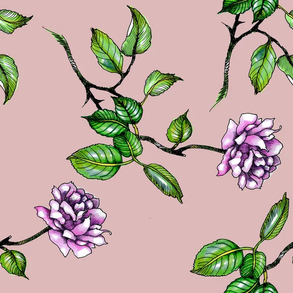 Watercolor Purple Roses Leaves Seamless Pattern — Stock Photo, Image