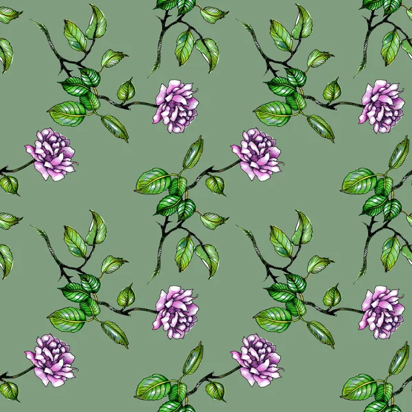 Watercolor Purple Roses Leaves Seamless Pattern — Stock Photo, Image