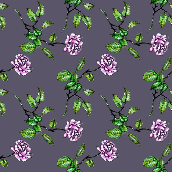 Watercolor Purple Roses Leaves Seamless Pattern — Stock Photo, Image