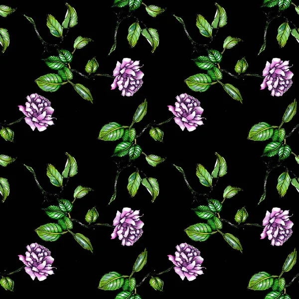 Aquarela Rosas Roxas Folhas Sem Costura Padrão — Fotografia de Stock