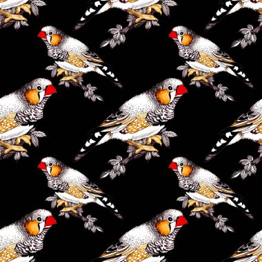 parlak renkli kuşlar arka plan 