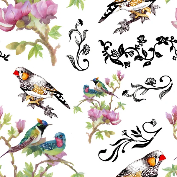 Aves Colores Brillantes Flores Fondo —  Fotos de Stock