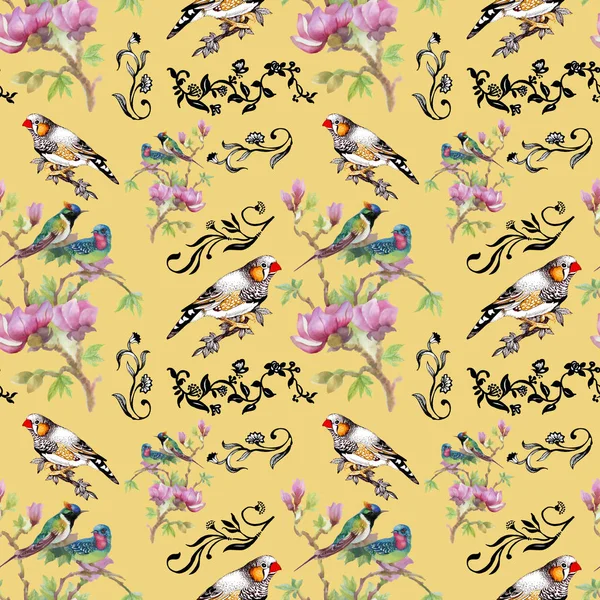 bright colorful birds and flowers background