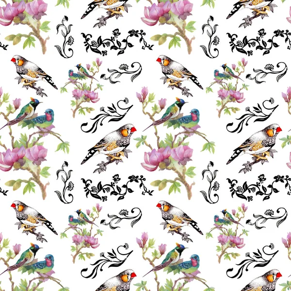 Ljusa Färgglada Fåglar Och Blommor Bakgrund — Stockfoto