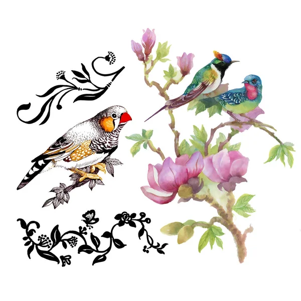 Aquarel Tekenen Van Vogels Een Tak Met Bloemen Geïsoleerde Hand — Stockfoto