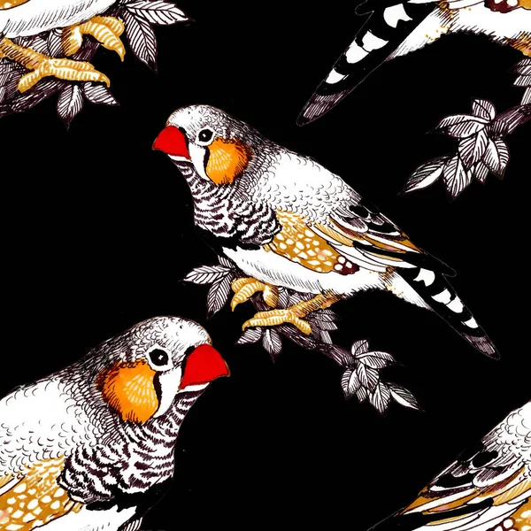 bright colorful birds background
