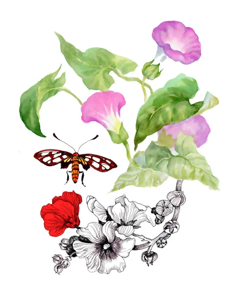 Handgezeichnetes Insekt Blumen Und Zweigen — Stockfoto