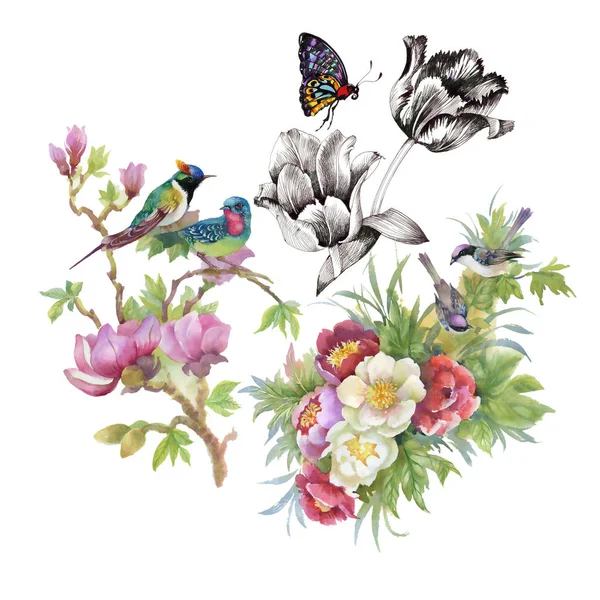 Akvarel Kresby Ptáků Větvi Květinami Izolované Ručně Kreslené Ilustrace — Stock fotografie
