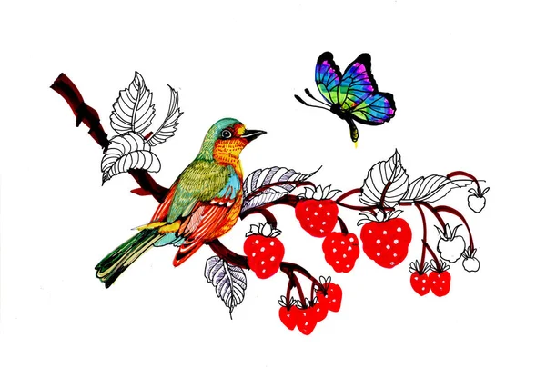 Aquarell Zeichnet Vogel Und Schmetterling Auf Einem Zweig Mit Beeren — Stockfoto