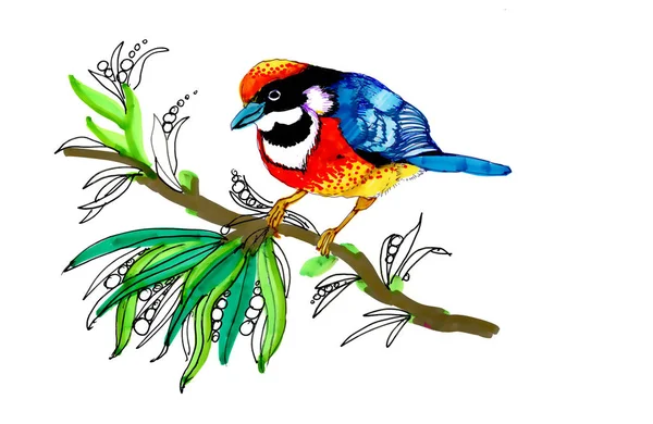 Aquarell Zeichnung Vogel Auf Einem Zweig Mit Blumen Isolierte Handgezeichnete — Stockfoto