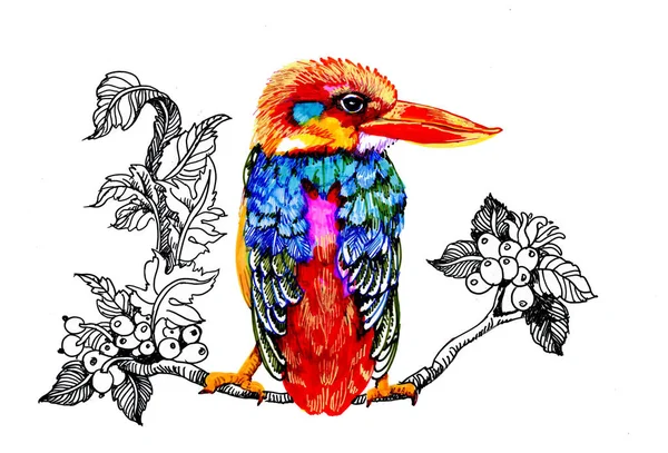 Akvarell Teckning Fågel Gren Med Blommor Isolerade Handritad Illustration — Stockfoto