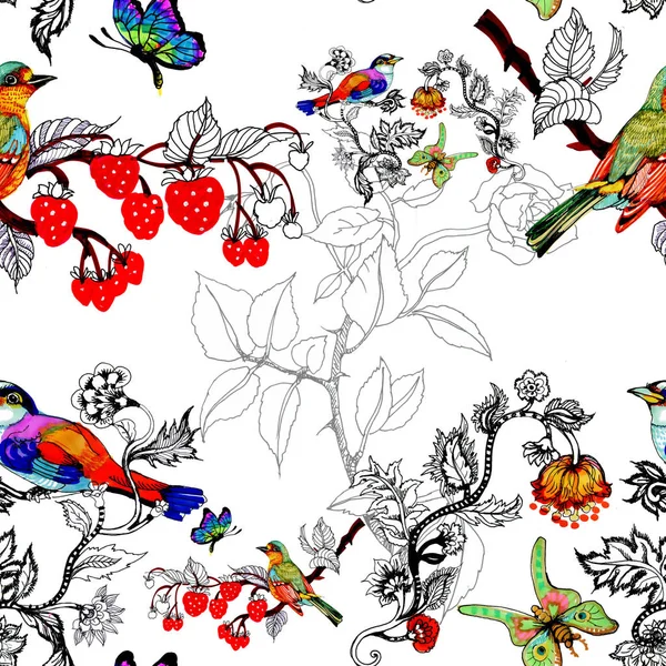 Akvarelu Světlé Ptáci Motýli Pobočky Ovoce Květiny — Stock fotografie