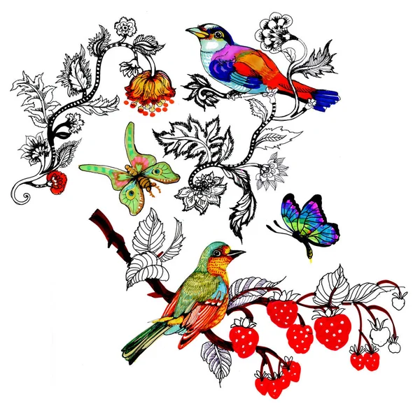 Akvarel Kresby Ptáků Větvi Květinami Izolované Ručně Kreslené Ilustrace — Stock fotografie