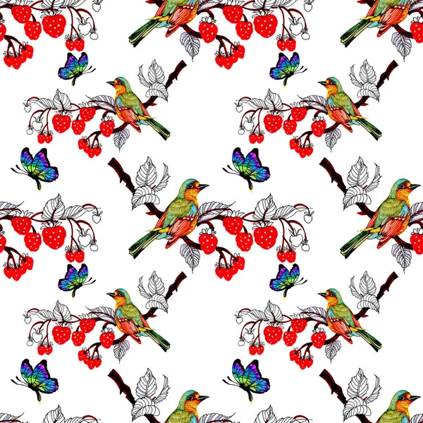 Acuarela Aves Brillantes Mariposas Ramas Frutales —  Fotos de Stock