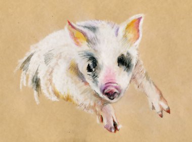 Sevimli domuzcuk el Bej renkli arka plan üzerinde sulu boya resimde boyalı. Yeni yıl 2019 sembolü.