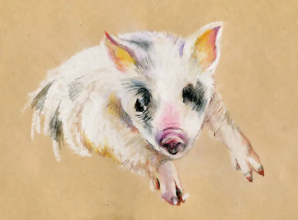 Schattig Piggy Handgeschilderde Aquarel Illustratie Beige Achtergrond Symbool Van Nieuwjaar — Stockfoto