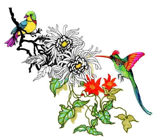 Acuarela Dibujo Aves Una Rama Con Flores Ilustración Dibujada Mano —  Fotos de Stock