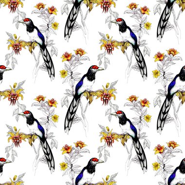 Sulu Boya vahşi egzotik kuşlar çiçekler seamless modeli üzerinde