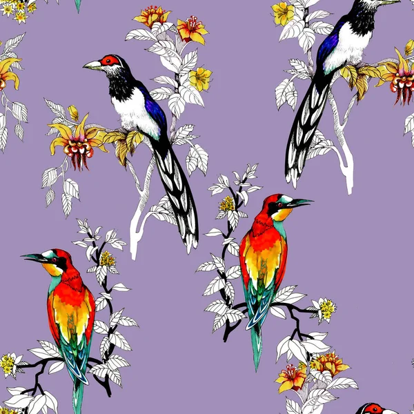 Aquarelle Oiseaux Exotiques Sauvages Sur Des Fleurs Motif Sans Couture — Photo