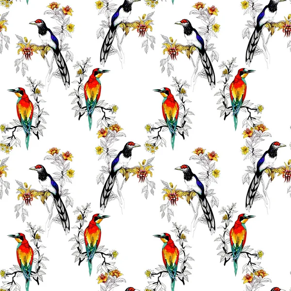 Sulu Boya Vahşi Egzotik Kuşlar Çiçekler Seamless Modeli Üzerinde — Stok fotoğraf