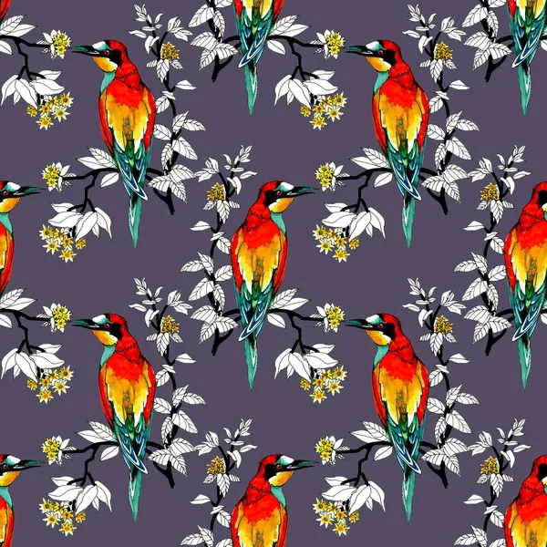 Acuarela Aves Exóticas Silvestres Flores Patrón Sin Costuras —  Fotos de Stock