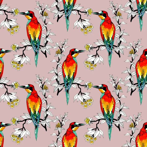 Watercolor Wild Exotic Birds Flowers Seamless Pattern — Stock Photo, Image