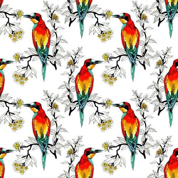 Akvarelu Divokých Exotických Ptáků Bezešvé Vzor Květiny — Stock fotografie