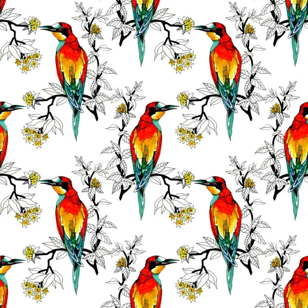 Watercolor Wild Exotic Birds Flowers Seamless Pattern — Stock Photo, Image