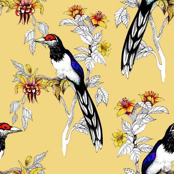 Watercolor Wild Exotic Birds Flowers Seamless Pattern — Stock Photo, Image