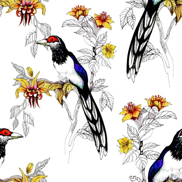 Akvarell Vilda Exotiska Fåglar Blommor Sömlösa Mönster — Stockfoto
