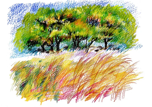 Renkli Kalemler Ile Çizilmiş Buğday Alanının Güzel Sanatsal Illüstrasyon — Stok fotoğraf