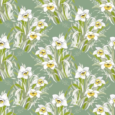 çiçek açan nergis çiçekleri