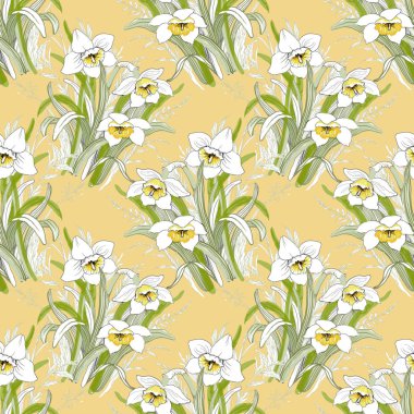 çiçek açan nergis çiçekleri