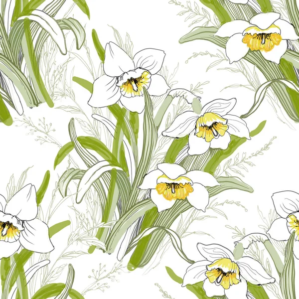 Fioritura fiori di narciso — Foto Stock