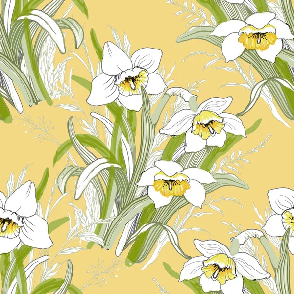 Fioritura fiori di narciso — Foto Stock