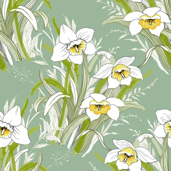 Fioritura fiori di narciso — Foto Stock