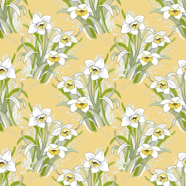 Flor narciso flores — Fotografia de Stock