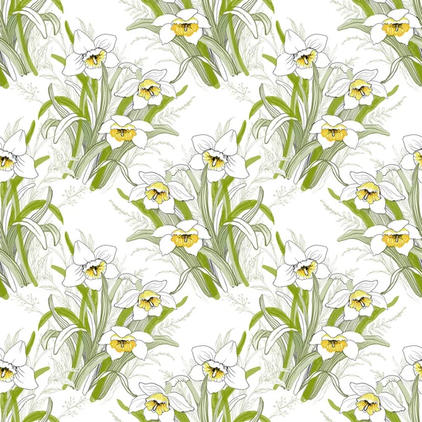 Fioritura fiori di narciso — Foto Stock