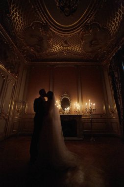  Romantik Çift, siluet, sevgili damat ve geline iç barok tarzı çift ortrait. Romantik portre