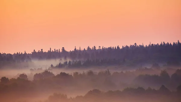 Mlhavé ráno kopcovité oblasti s paprskem světla. — Stock fotografie