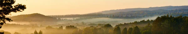 Pente montagneuse boisée dans un nuage bas avec les conifères à feuilles persistantes enveloppés dans la brume dans une vue panoramique sur le paysage — Photo