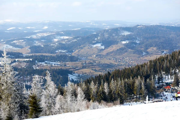 Majestátní bílé smrky zářící ve slunečním světle. Malebná a nádherná zimní scéna. Místo konání Karpatský národní park, Ukrajina, Evropa. Lyžařské středisko Alpy. Modré tónování. Šťastný Nový rok Krásný svět. — Stock fotografie