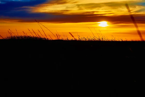 Coucher de soleil dans la steppe. — Photo